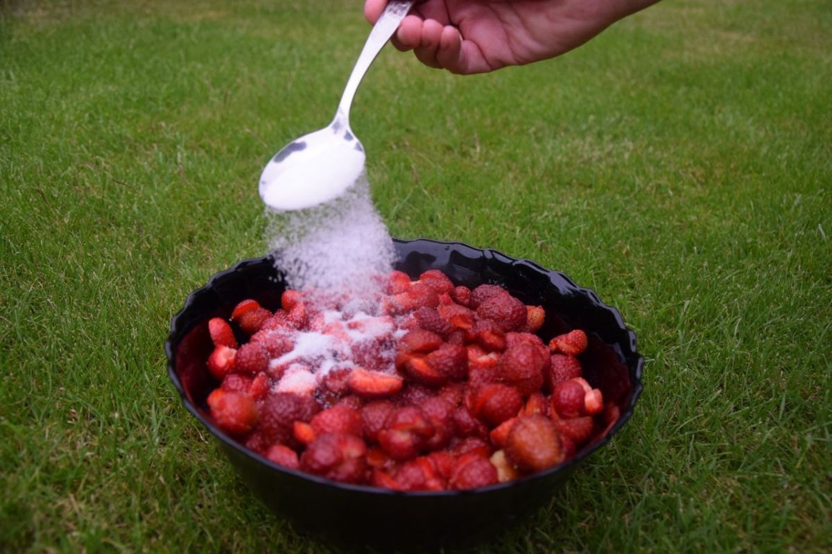 So schmeckt der&nbsp;Sommer!