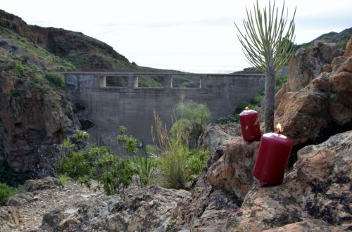 DSC_0234 (1280x845).jpg