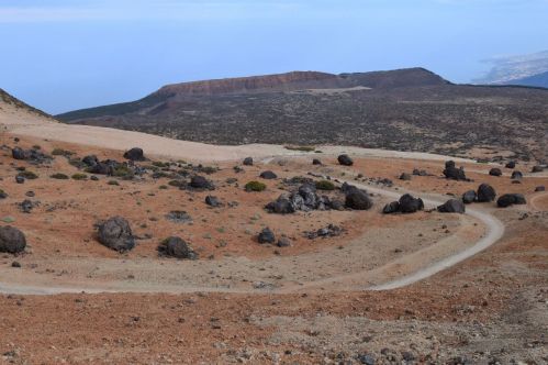 DSC_0262 (1280x853).jpg