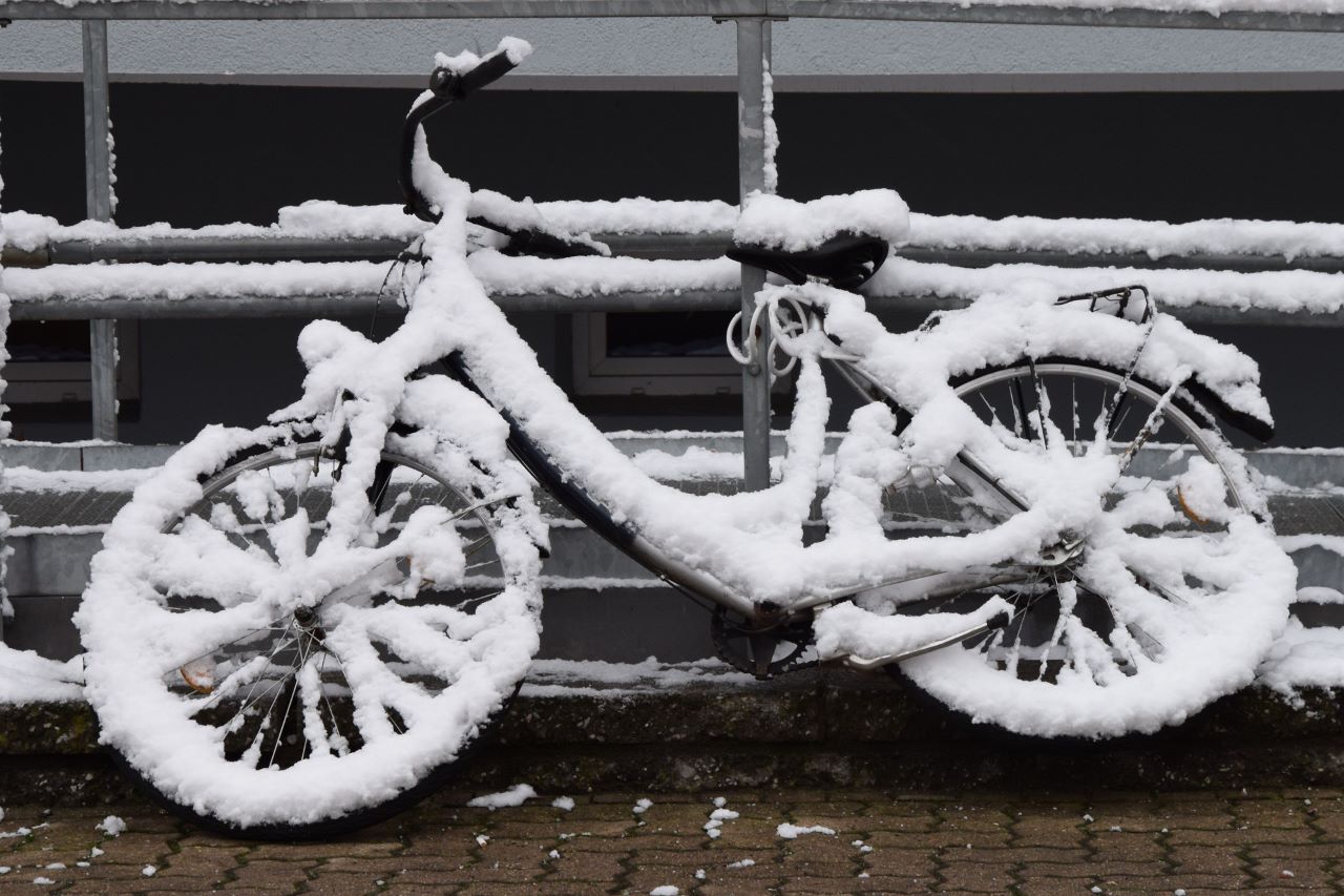 DSC_0657 (1280x853) (2)