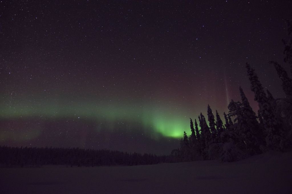 DSC_0775 (2560x1707)