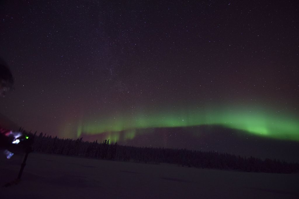 DSC_0780 (2560x1707)