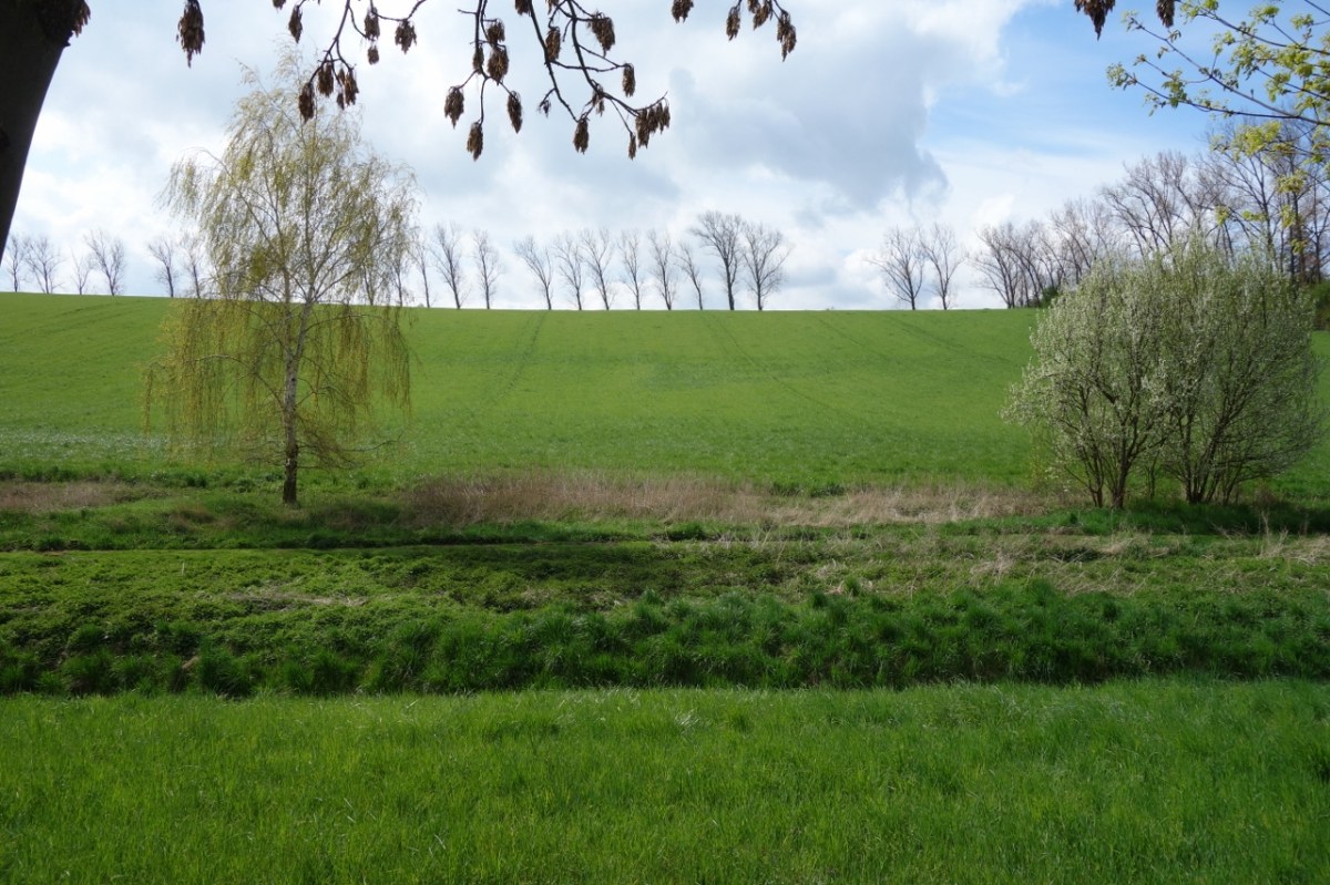 Veränderung – Jahreszeiten