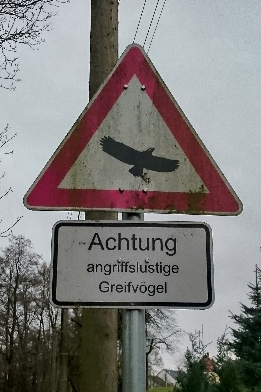 Sind wir nicht alle&nbsp;Schildbürger?