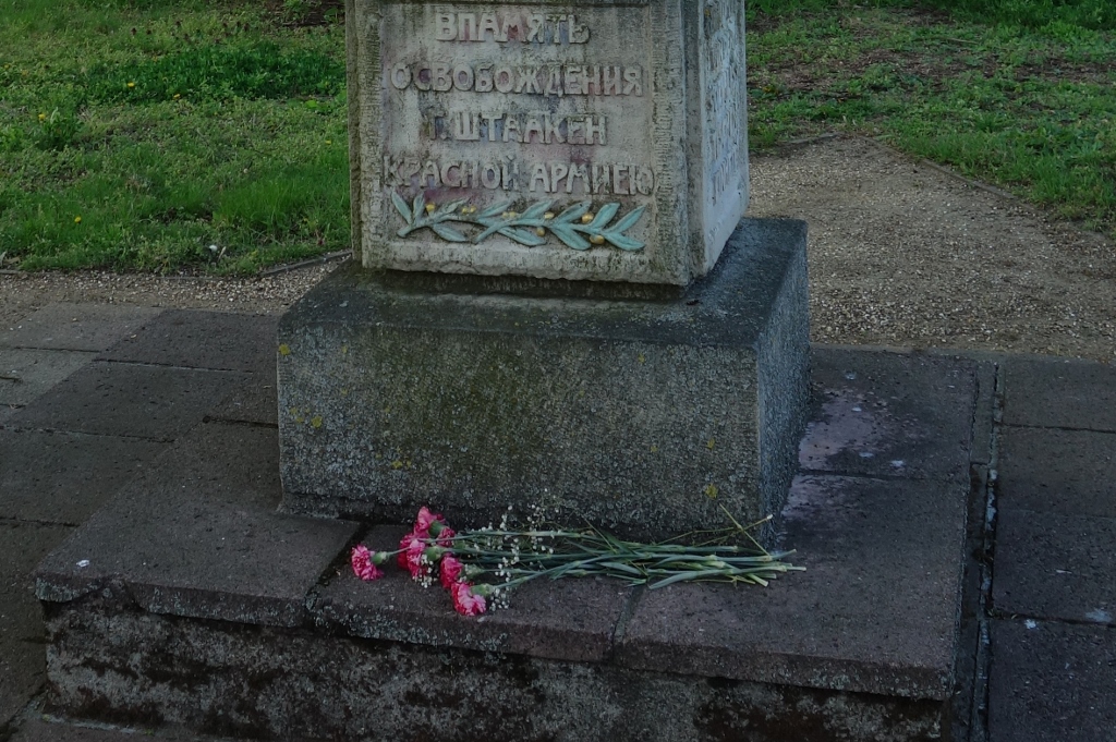 Ein Strauß roter&nbsp;Nelken