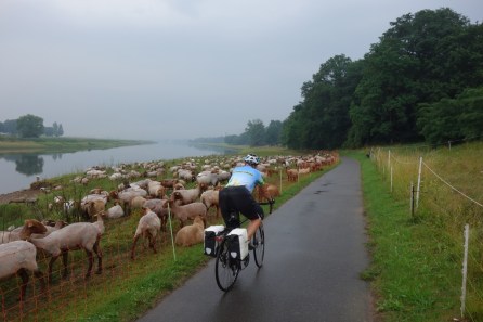 DSC03258 (2017_07_13 12_58_03 UTC) (1024x683)