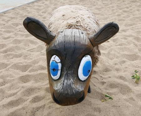 rps20170805_114323_861