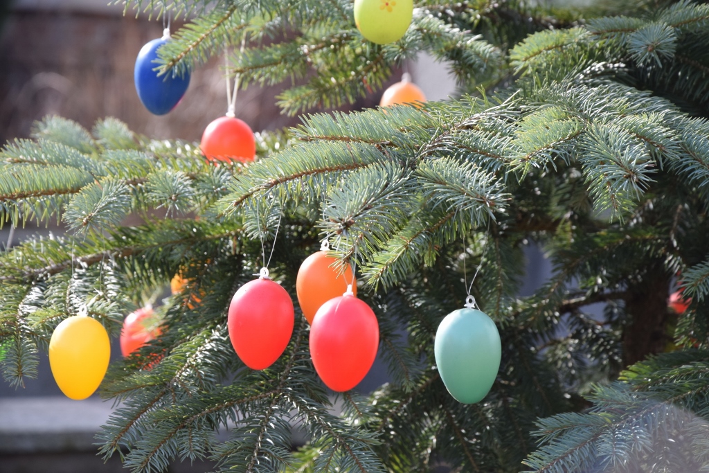 Wir haben den Osterhasen gesehen&nbsp;:-)