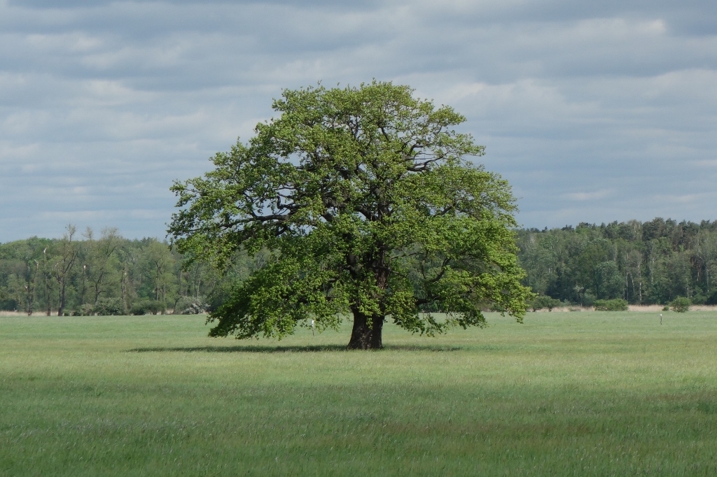 Weisheit #3 – Insgesamt klettert man zu&nbsp;wenig