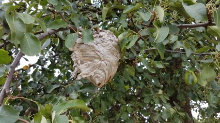 20180923_110923 (800x450)