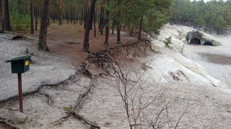 20190106_115551 (1024x576)