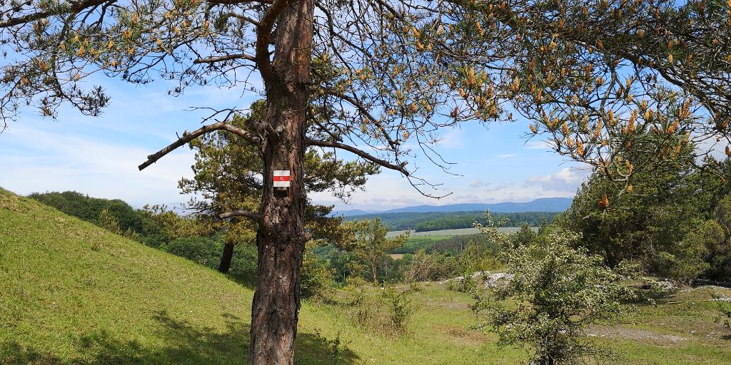 Die verlassene Gipsfabrik
