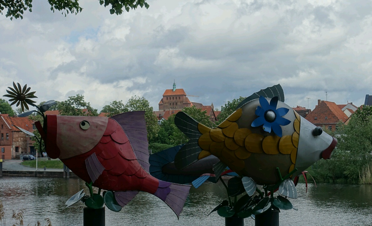 Mündungsverschleppung?