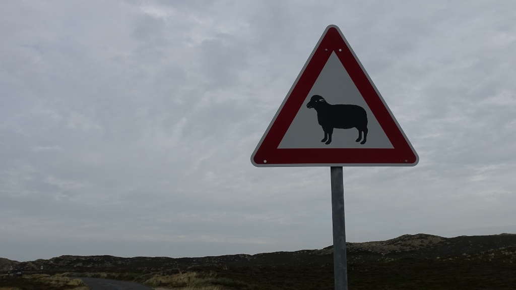 Vorsicht Schafe – Schildersonntag&nbsp;#4