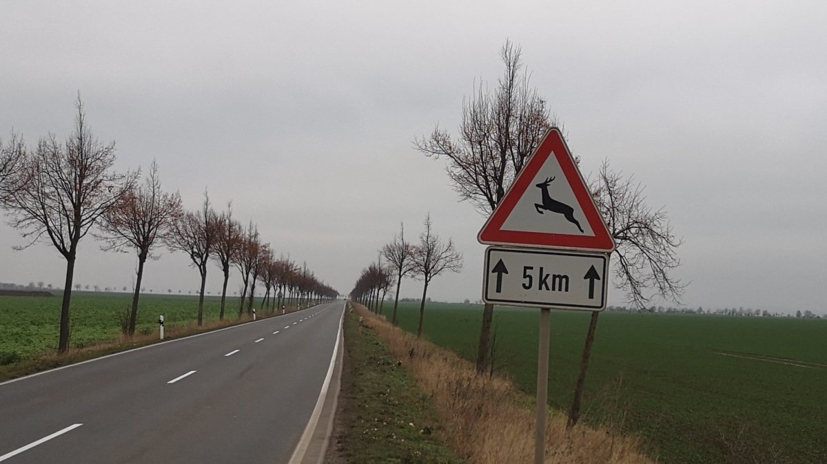 Schildersonntag #5 –&nbsp;Wildwechsel