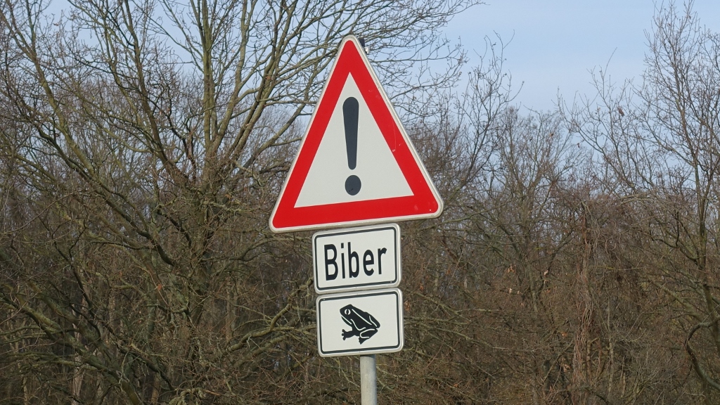 Schildersonntag #9 –&nbsp;Biberkröte