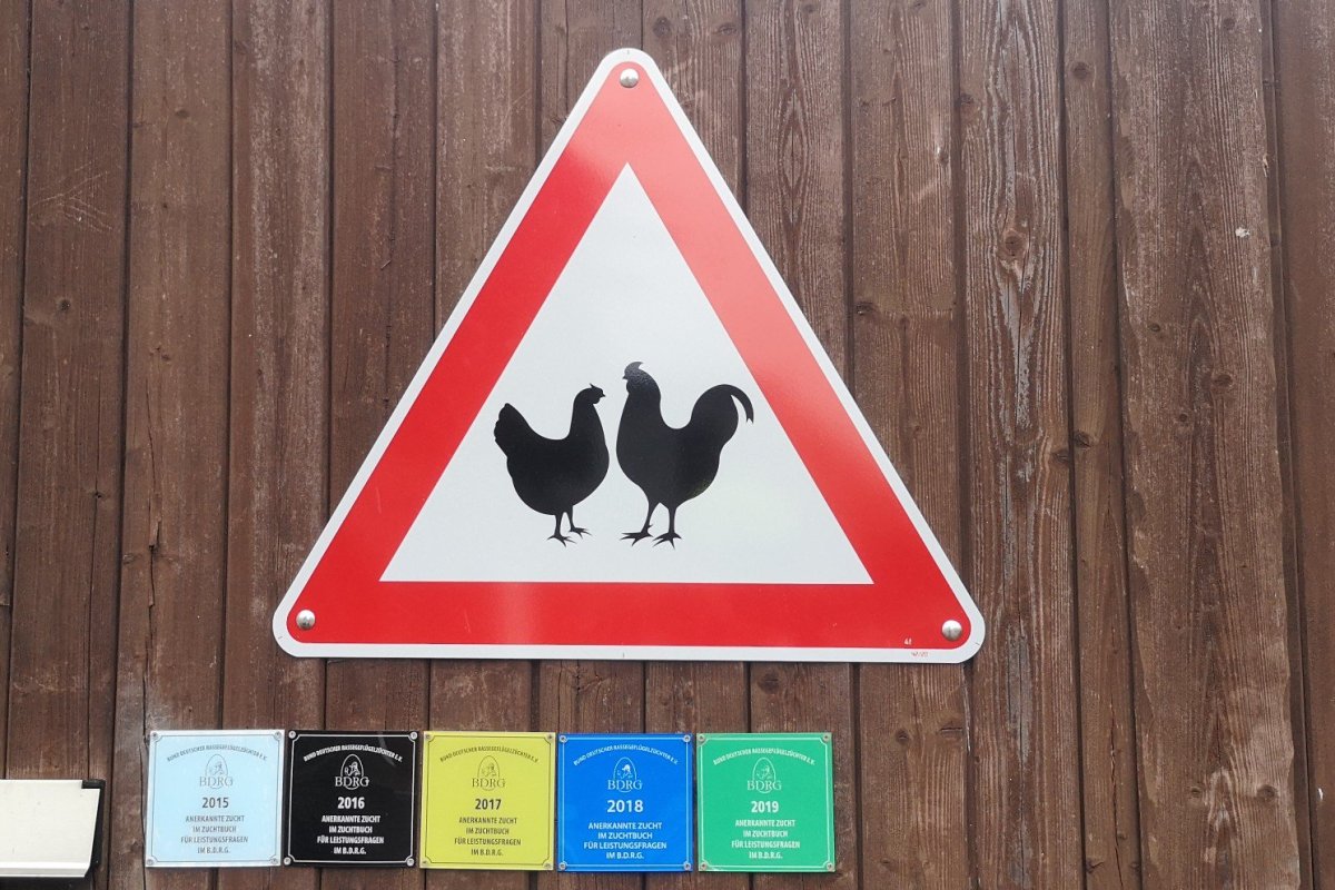 Schildersonntag #25 –&nbsp;Hühner