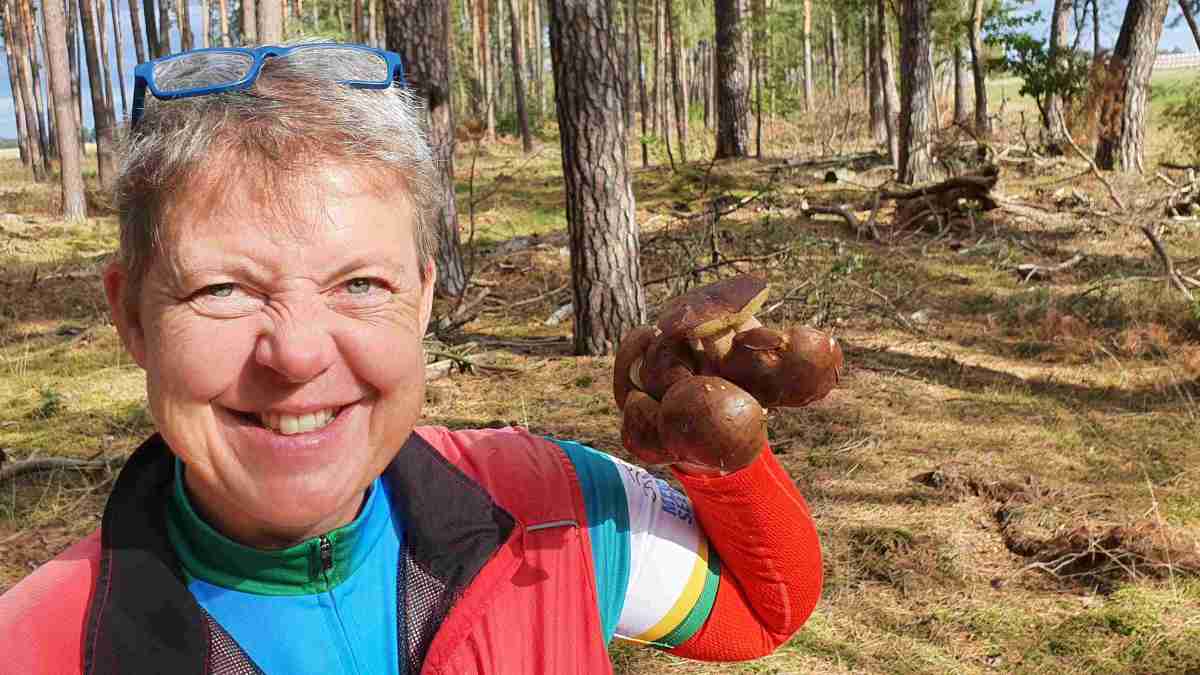 Wart ihr schon in den&nbsp;Pilzen?