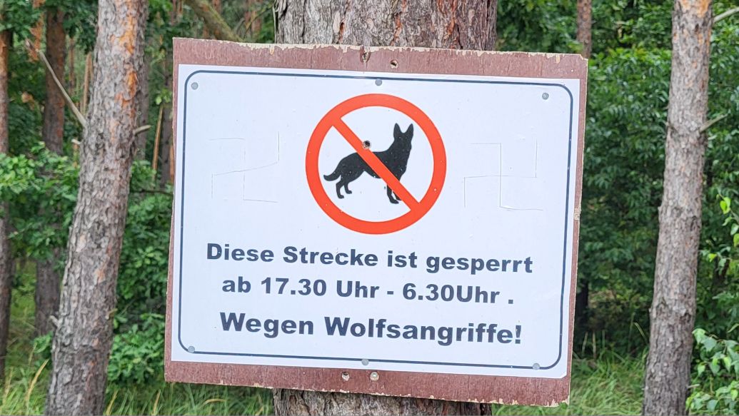 Wölfe sind überall – Schildersonntag&nbsp;#99